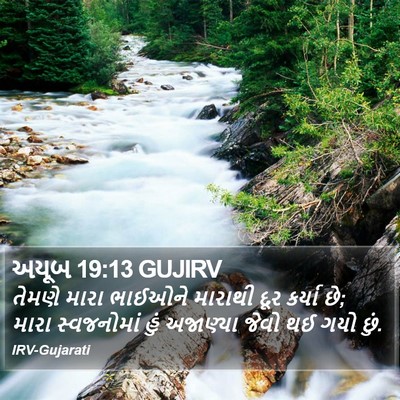 અયૂબ 19:13 GUJIRV Bible Verse Image