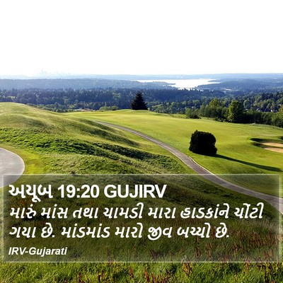 અયૂબ 19:20 GUJIRV Bible Verse Image