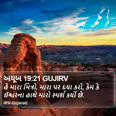 અયૂબ 19:21 GUJIRV Bible Verse Image