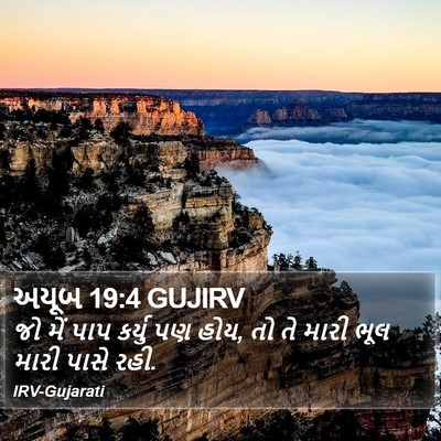 અયૂબ 19:4 GUJIRV Bible Verse Image