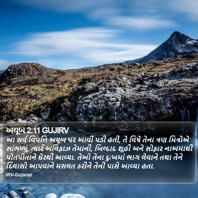 અયૂબ 2:11 GUJIRV Bible Verse Image