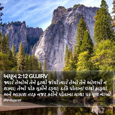 અયૂબ 2:12 GUJIRV Bible Verse Image