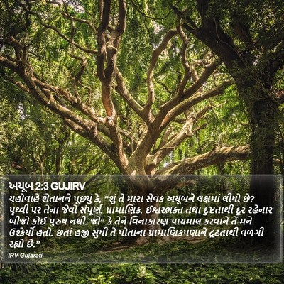 અયૂબ 2:3 GUJIRV Bible Verse Image