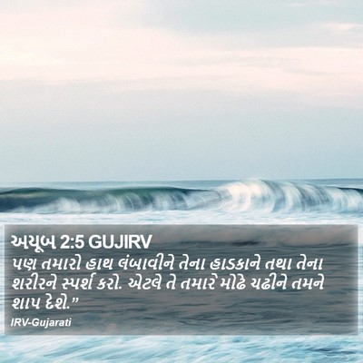 અયૂબ 2:5 GUJIRV Bible Verse Image