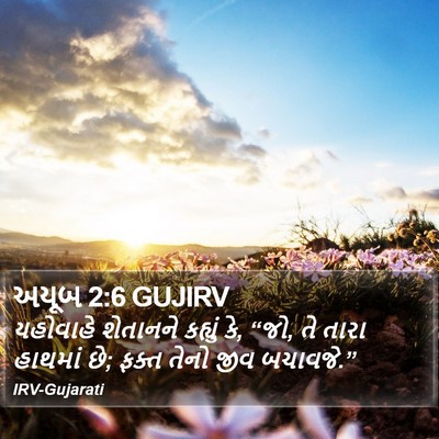 અયૂબ 2:6 GUJIRV Bible Verse Image