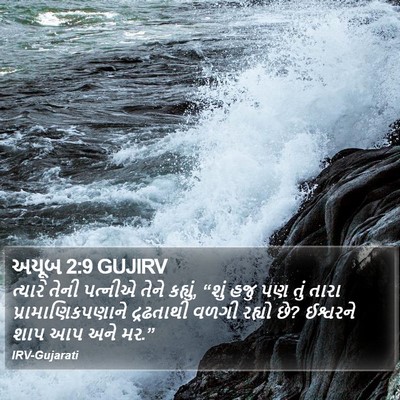 અયૂબ 2:9 GUJIRV Bible Verse Image
