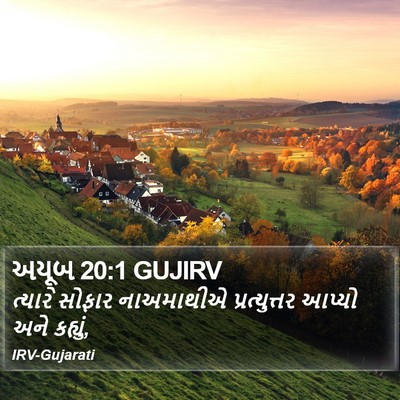 અયૂબ 20:1 GUJIRV Bible Verse Image