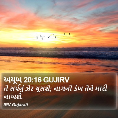 અયૂબ 20:16 GUJIRV Bible Verse Image