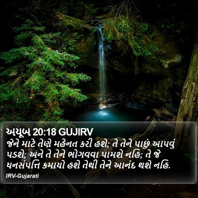 અયૂબ 20:18 GUJIRV Bible Verse Image