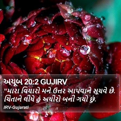 અયૂબ 20:2 GUJIRV Bible Verse Image