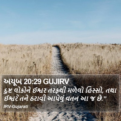 અયૂબ 20:29 GUJIRV Bible Verse Image