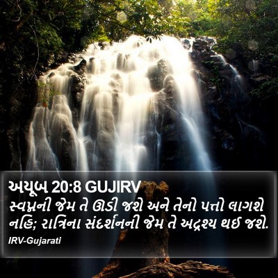 અયૂબ 20:8 GUJIRV Bible Verse Image