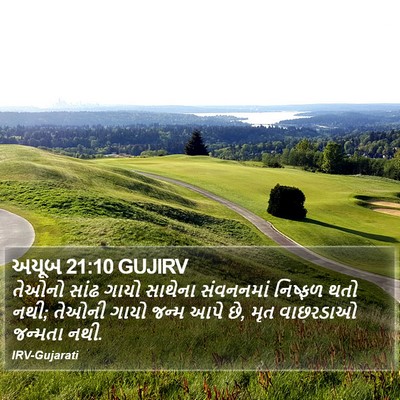અયૂબ 21:10 GUJIRV Bible Verse Image