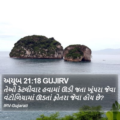 અયૂબ 21:18 GUJIRV Bible Verse Image