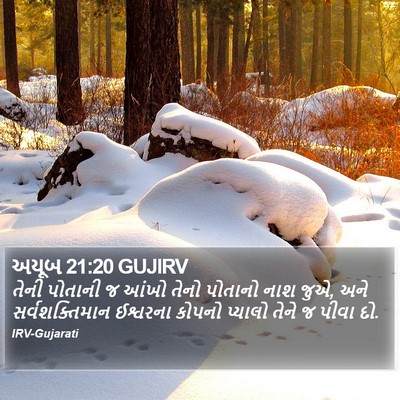 અયૂબ 21:20 GUJIRV Bible Verse Image