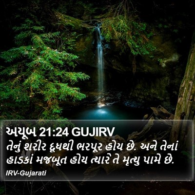 અયૂબ 21:24 GUJIRV Bible Verse Image