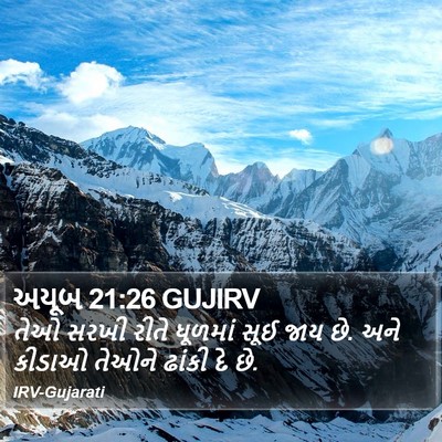 અયૂબ 21:26 GUJIRV Bible Verse Image