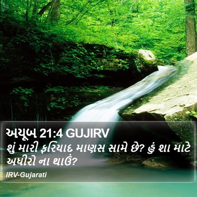 અયૂબ 21:4 GUJIRV Bible Verse Image
