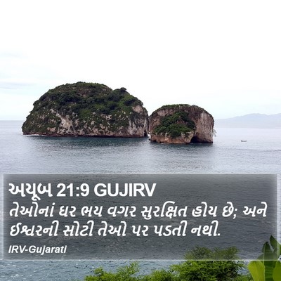 અયૂબ 21:9 GUJIRV Bible Verse Image