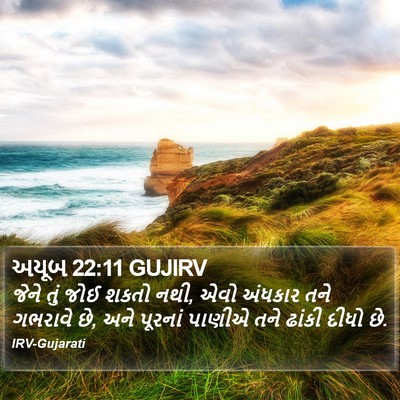 અયૂબ 22:11 GUJIRV Bible Verse Image