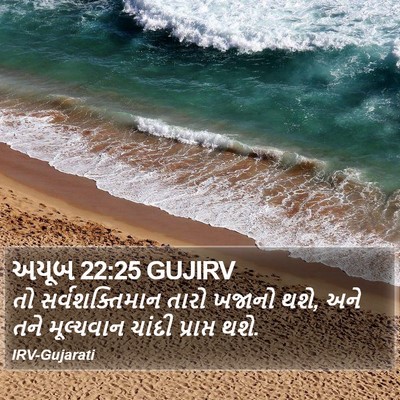 અયૂબ 22:25 GUJIRV Bible Verse Image