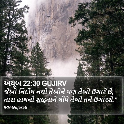અયૂબ 22:30 GUJIRV Bible Verse Image