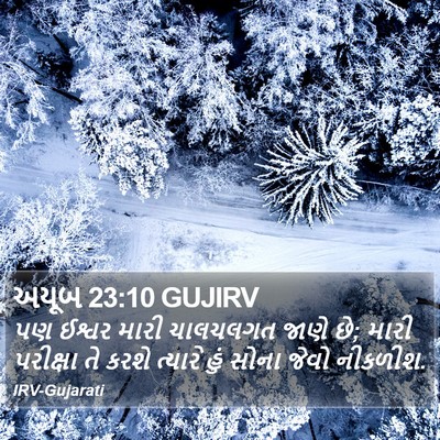 અયૂબ 23:10 GUJIRV Bible Verse Image