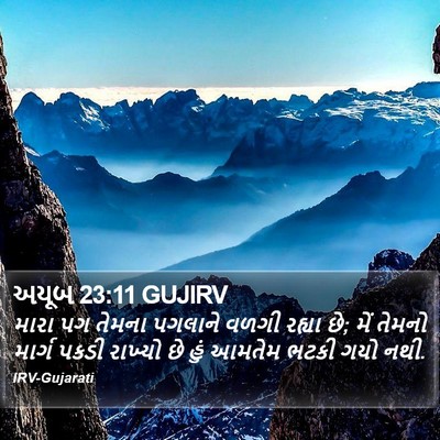 અયૂબ 23:11 GUJIRV Bible Verse Image