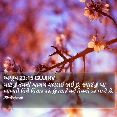 અયૂબ 23:15 GUJIRV Bible Verse Image