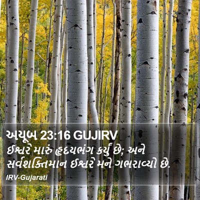 અયૂબ 23:16 GUJIRV Bible Verse Image