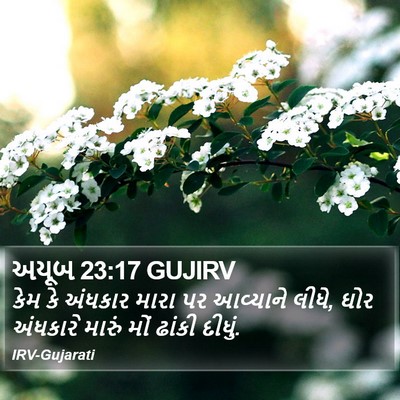 અયૂબ 23:17 GUJIRV Bible Verse Image
