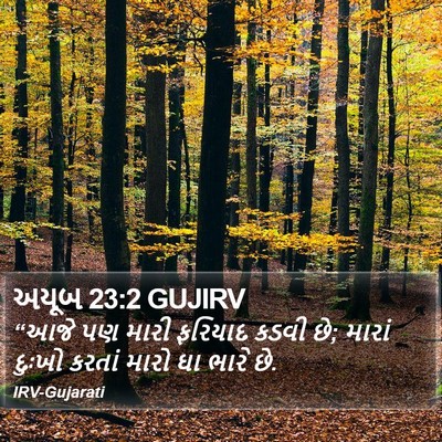 અયૂબ 23:2 GUJIRV Bible Verse Image