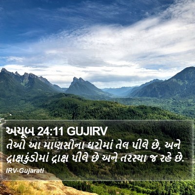 અયૂબ 24:11 GUJIRV Bible Verse Image