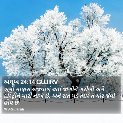 અયૂબ 24:14 GUJIRV Bible Verse Image