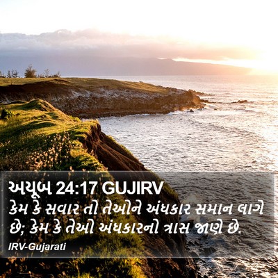 અયૂબ 24:17 GUJIRV Bible Verse Image