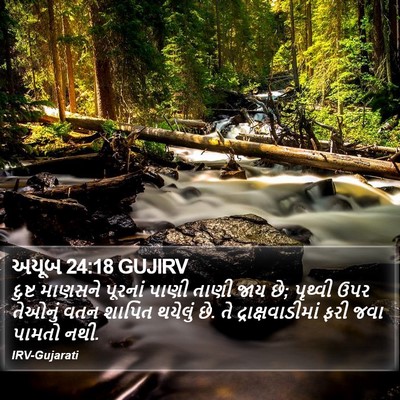 અયૂબ 24:18 GUJIRV Bible Verse Image