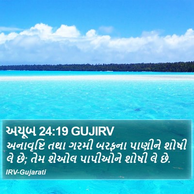 અયૂબ 24:19 GUJIRV Bible Verse Image