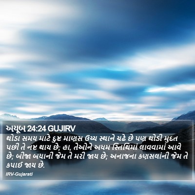 અયૂબ 24:24 GUJIRV Bible Verse Image