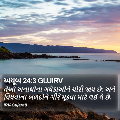 અયૂબ 24:3 GUJIRV Bible Verse Image