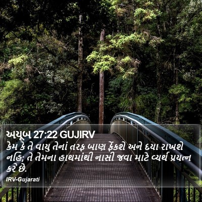 અયૂબ 27:22 GUJIRV Bible Verse Image