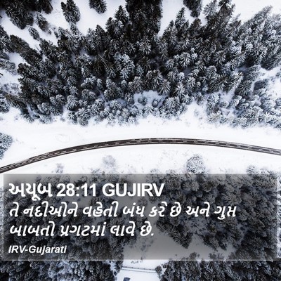 અયૂબ 28:11 GUJIRV Bible Verse Image