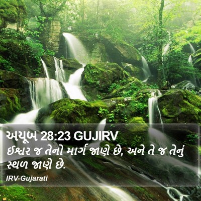 અયૂબ 28:23 GUJIRV Bible Verse Image