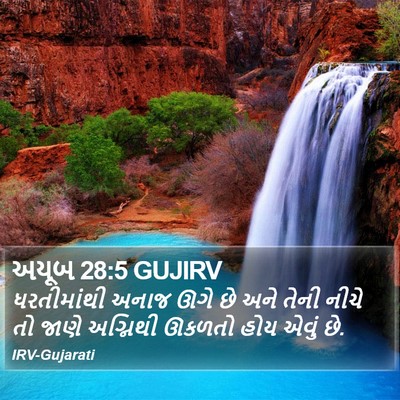અયૂબ 28:5 GUJIRV Bible Verse Image