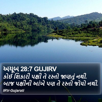 અયૂબ 28:7 GUJIRV Bible Verse Image
