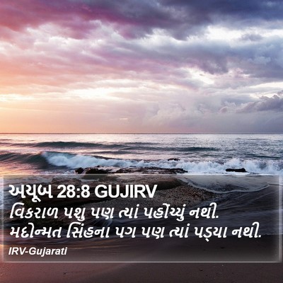 અયૂબ 28:8 GUJIRV Bible Verse Image