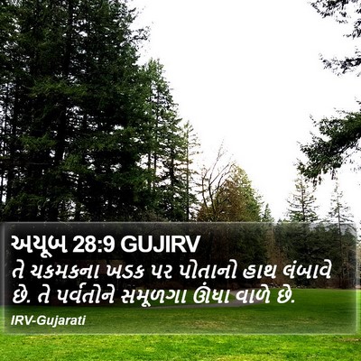 અયૂબ 28:9 GUJIRV Bible Verse Image