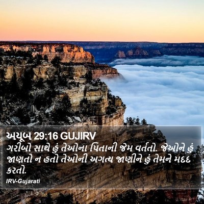 અયૂબ 29:16 GUJIRV Bible Verse Image