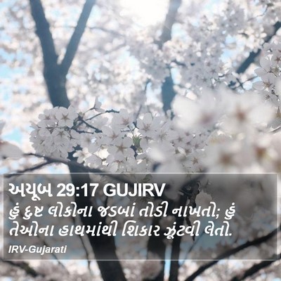 અયૂબ 29:17 GUJIRV Bible Verse Image