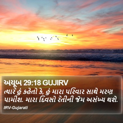 અયૂબ 29:18 GUJIRV Bible Verse Image