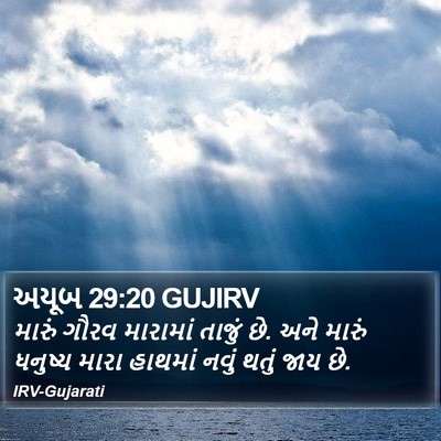 અયૂબ 29:20 GUJIRV Bible Verse Image